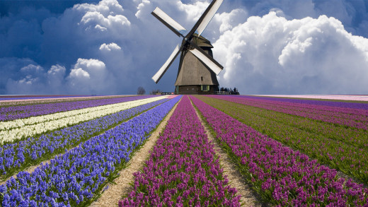 511086 (a): :1920x1080